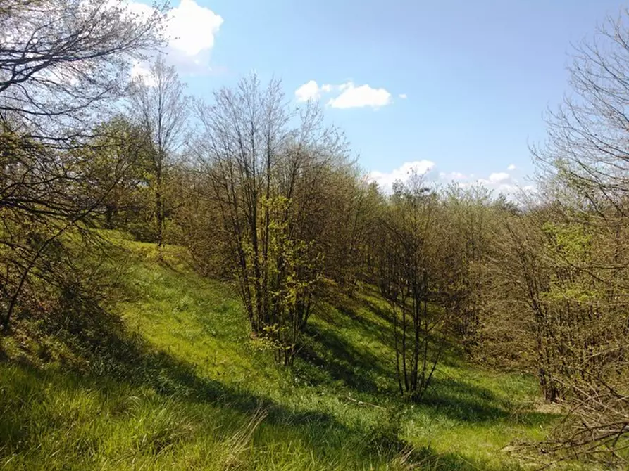 Immagine 12 di Rustico / casale in vendita  a Giusvalla