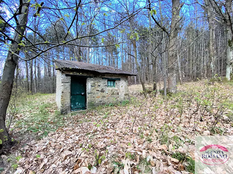 Immagine 21 di Rustico / casale in vendita  in Via Marasca 28 a Urbe