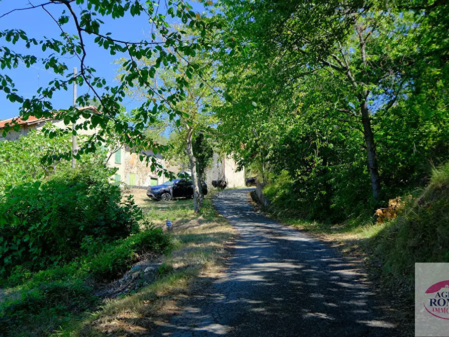 Immagine 23 di Rustico / casale in vendita  in regione Pianlago 110 a Ponzone