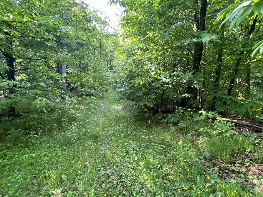 Immagine 11 di Casa indipendente in vendita  in Via Monterosso 11 a Tiglieto