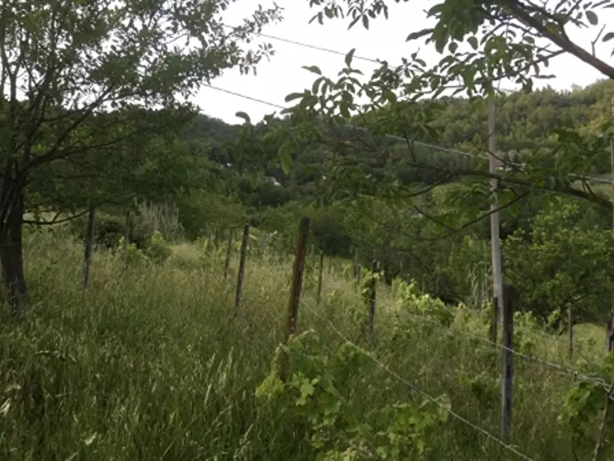 Immagine 48 di Appartamento in vendita  in via piazze 1 a Cremolino