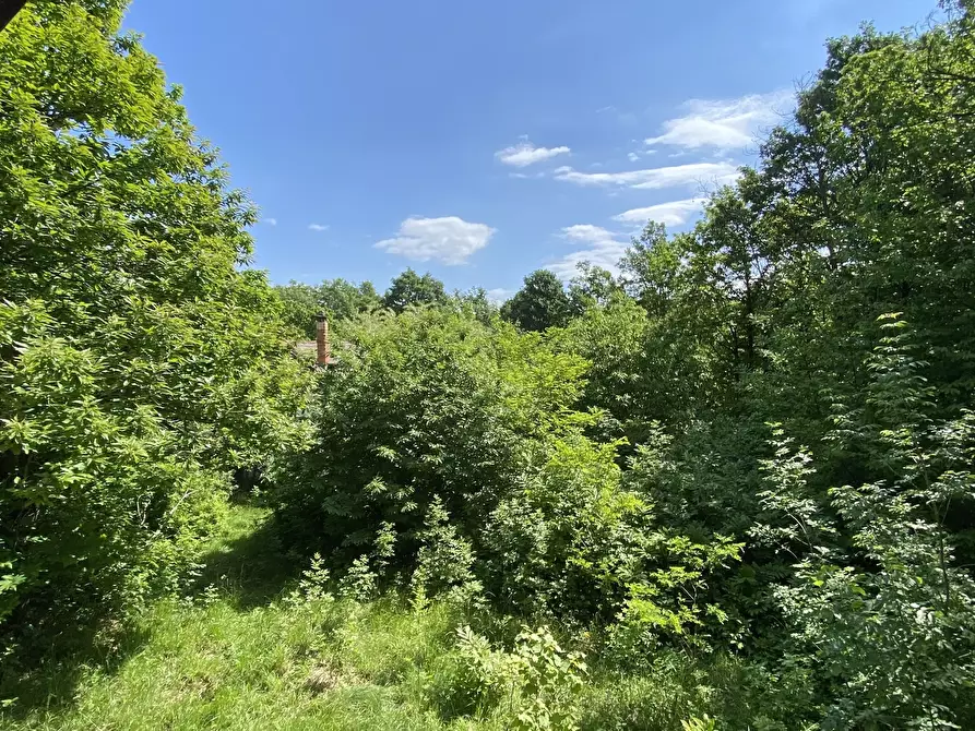 Immagine 7 di Casa indipendente in vendita  in Via Monterosso 11 a Tiglieto