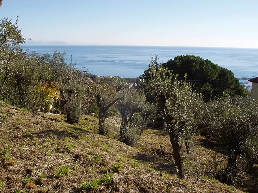 Immagine 13 di Villa in vendita  a Varazze