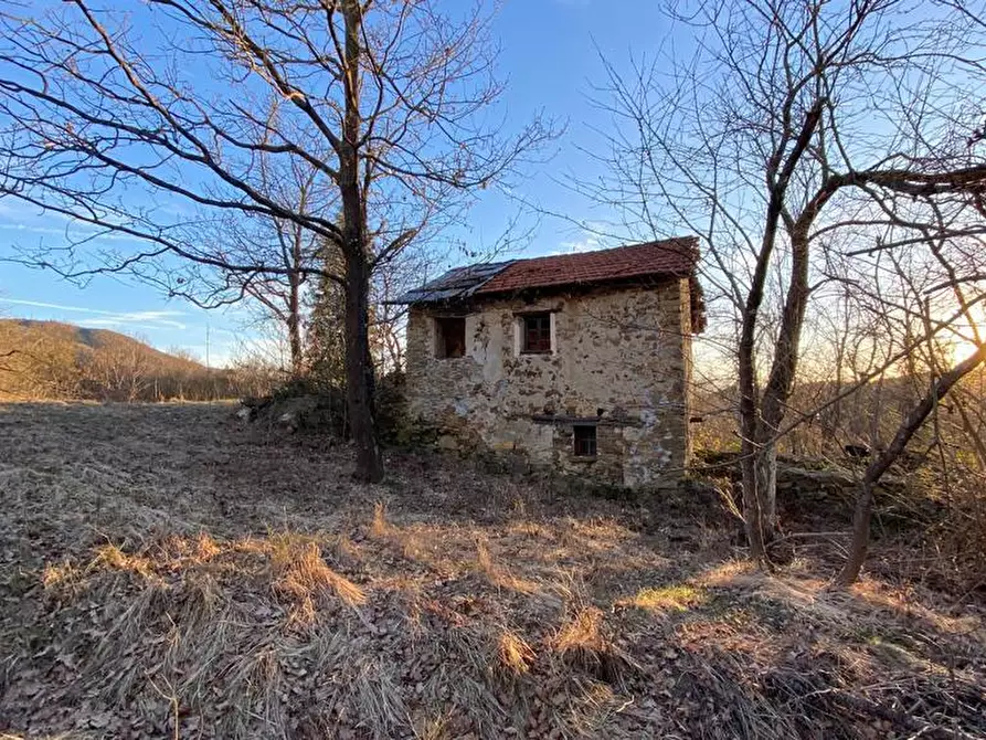 Immagine 3 di Rustico / casale in vendita  a Dego