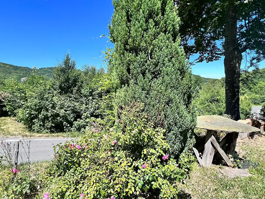 Immagine 2 di Casa indipendente in vendita  in Località Miera 4 a Sassello