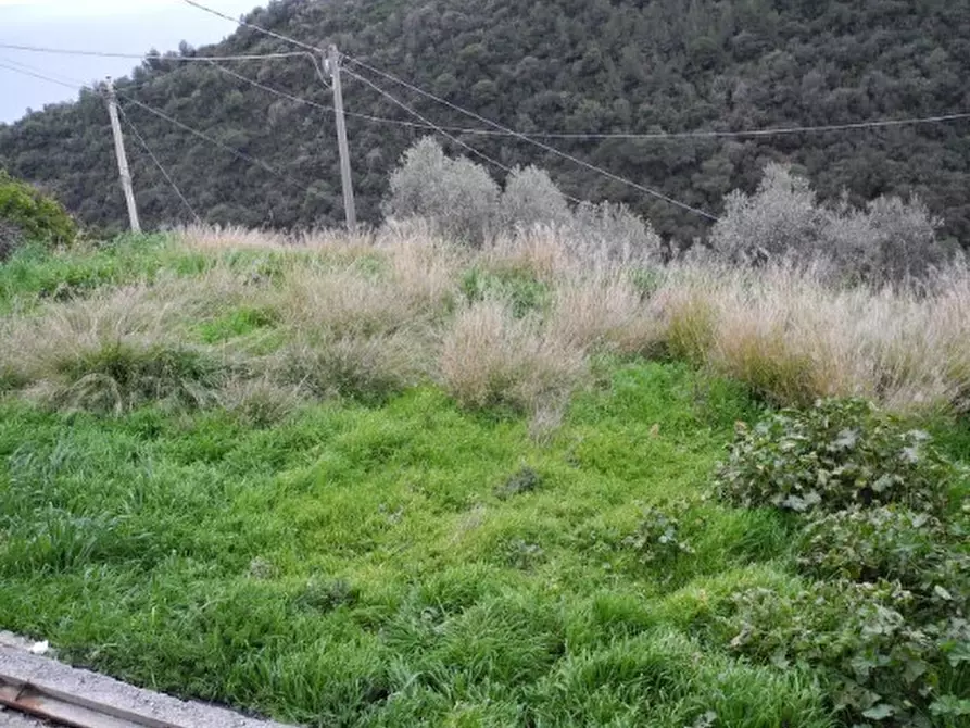 Immagine 6 di Villa in vendita  in Via Martinazzi 49 a Camporosso