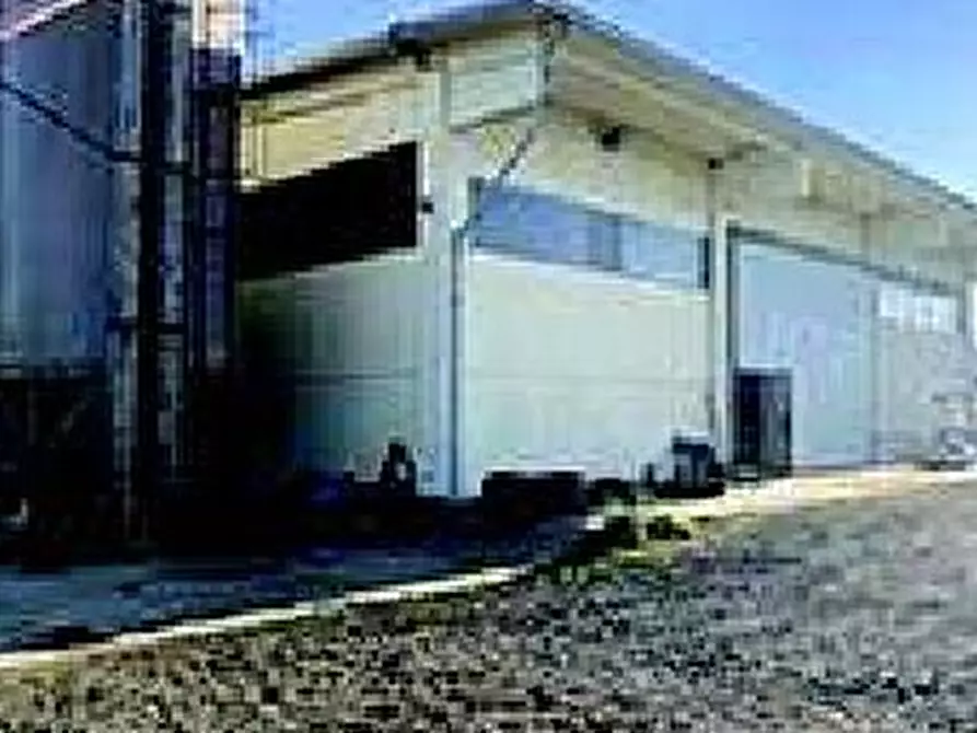 Immagine 3 di Attività artigianale in vendita  in Cascina Bricco snc a Quattordio