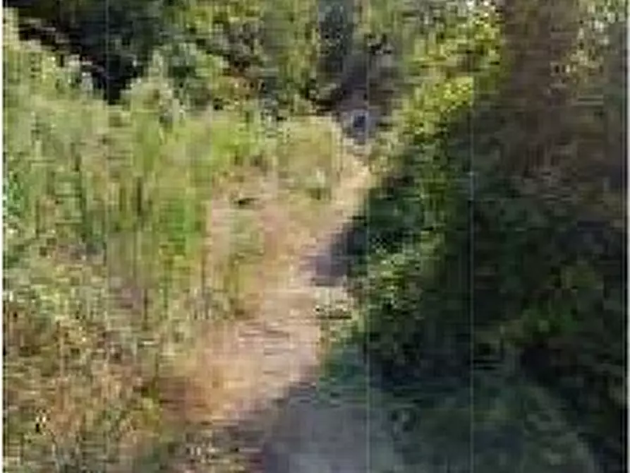 Immagine 10 di Villa in vendita  in Via Dercogna 24 a Davagna