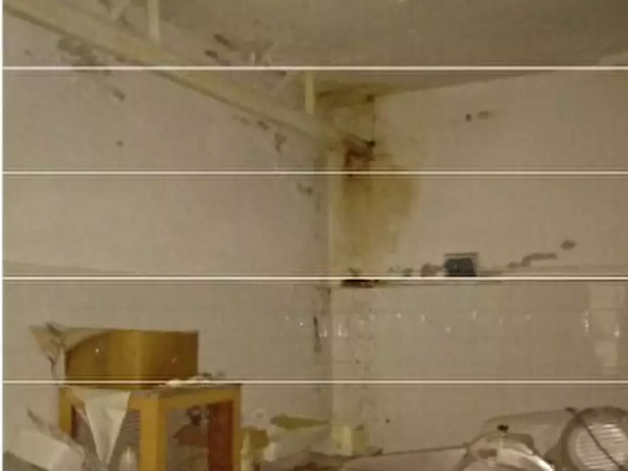 Immagine 5 di Attività artigianale in vendita  in Via Battista Trucco R a Campomorone