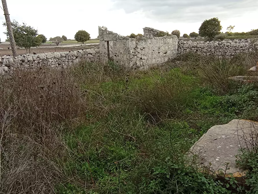 Immagine 14 di Rustico / casale in vendita  a Ragusa
