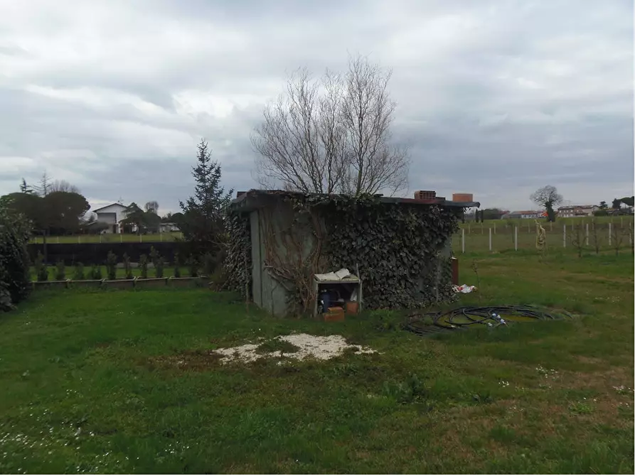 Immagine 3 di Terreno agricolo in vendita  a Cesena