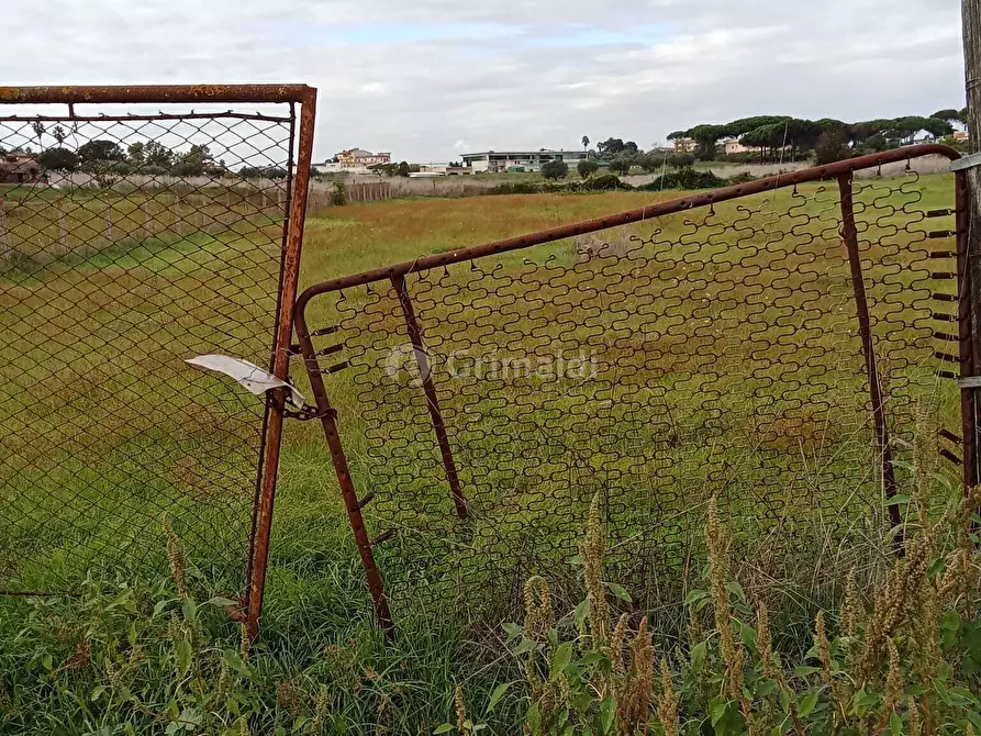 Immagine 6 di Terreno agricolo in vendita  in Via del Pino a Nettuno