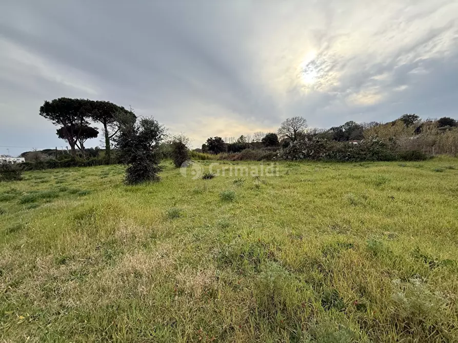 Immagine 10 di Terreno edificabile in vendita  in VIA CENTOCELLE 1 a Anzio