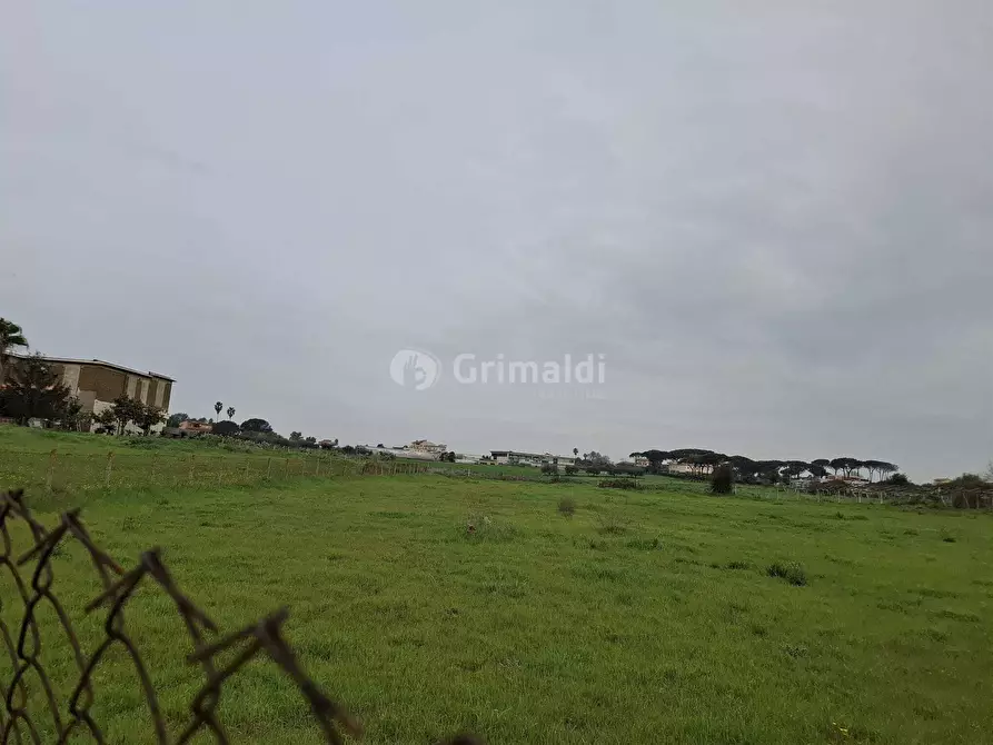 Immagine 4 di Terreno agricolo in vendita  in Via del Pino a Nettuno