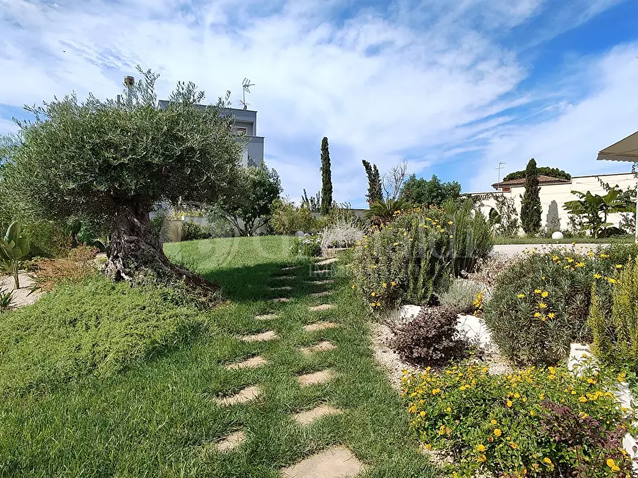 Immagine 56 di Villa in vendita  a Anzio