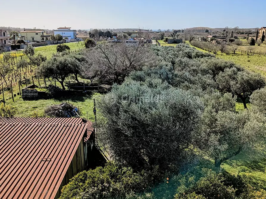 Immagine 80 di Villa in vendita  in Via Granieri 56 a Nettuno