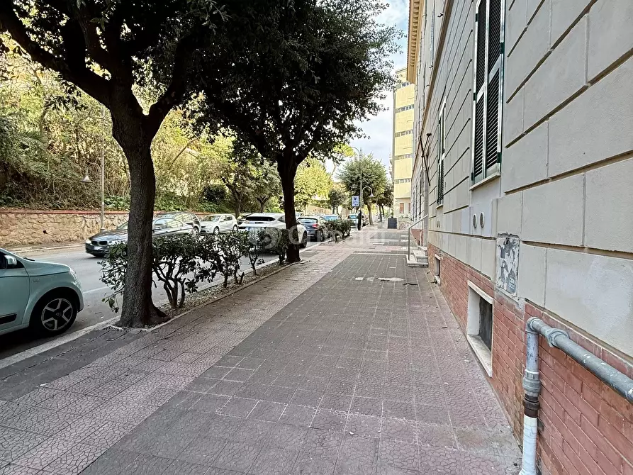 Immagine 26 di Trilocale in vendita  in VIA ANTONIO GRAMSCI 70 a Anzio