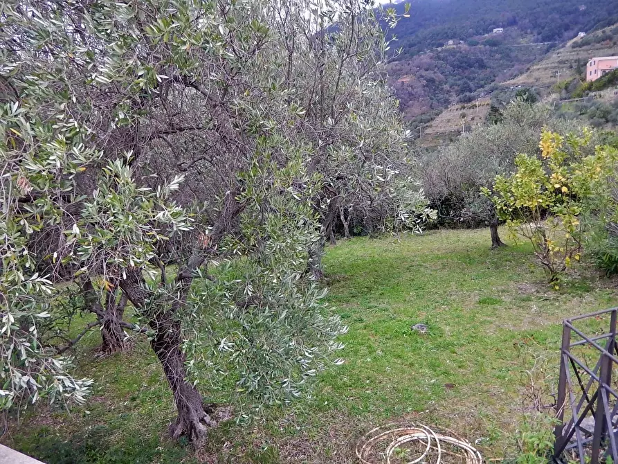 Immagine 23 di Villa in vendita  in Località Salice a Bonassola