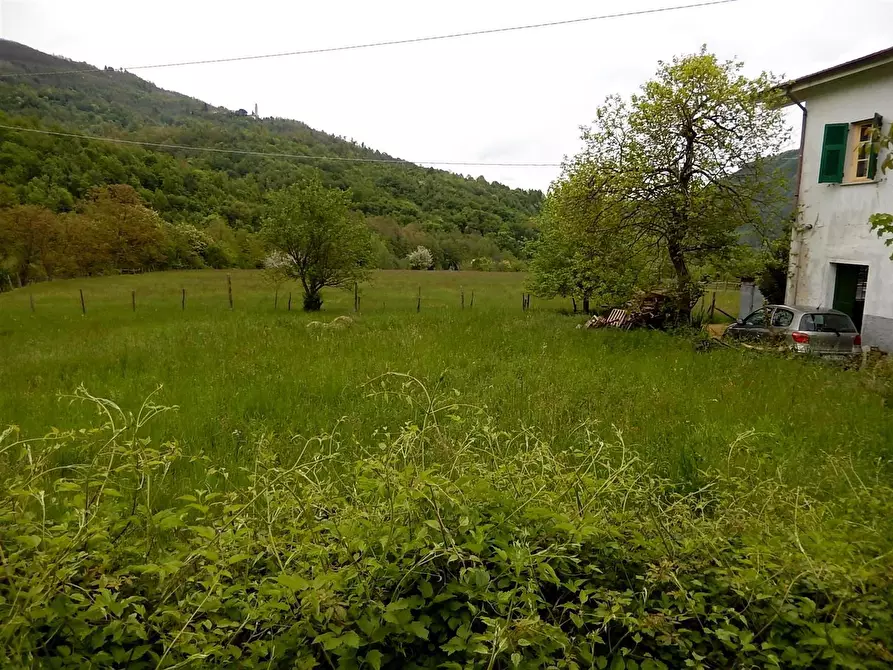 Immagine 24 di Rustico / casale in vendita  in Località Campobenedetto a Varese Ligure