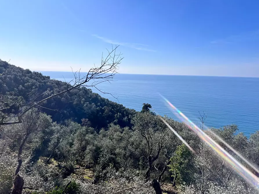 Immagine 3 di Villa in vendita  a Zoagli