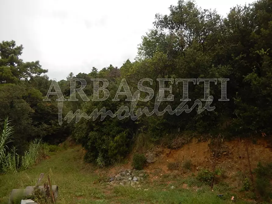 Immagine 11 di Villa in vendita  in Via Arturo Rossi a Castiglione Chiavarese