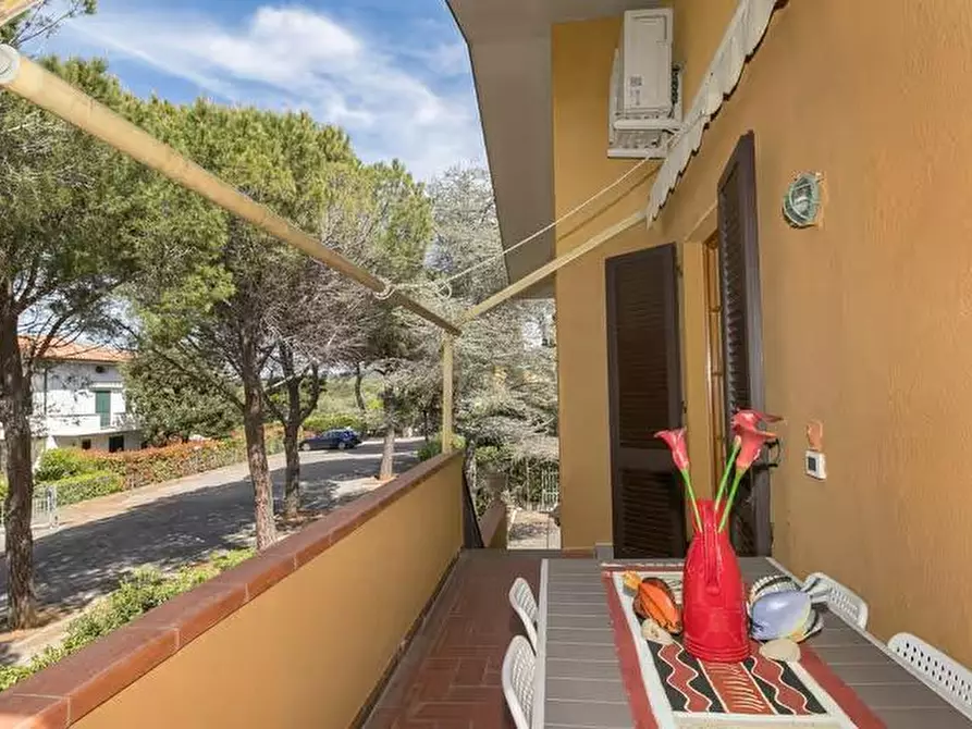 Immagine 37 di Trilocale in vendita  a Rosignano Marittimo