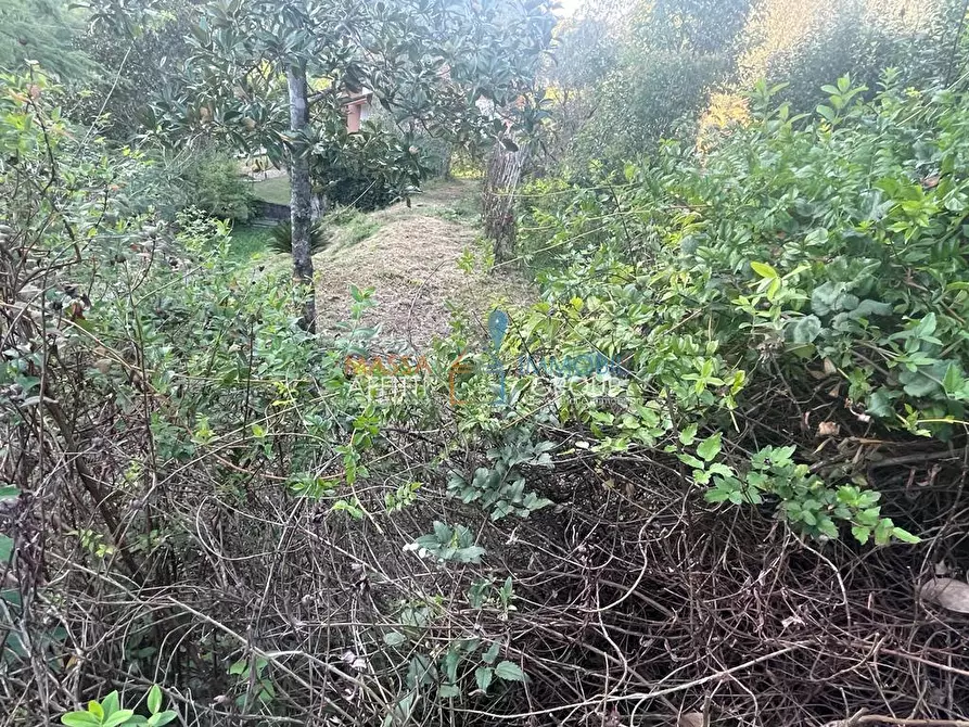 Immagine 60 di Casa indipendente in vendita  in Via San Vitale 7 a Massa