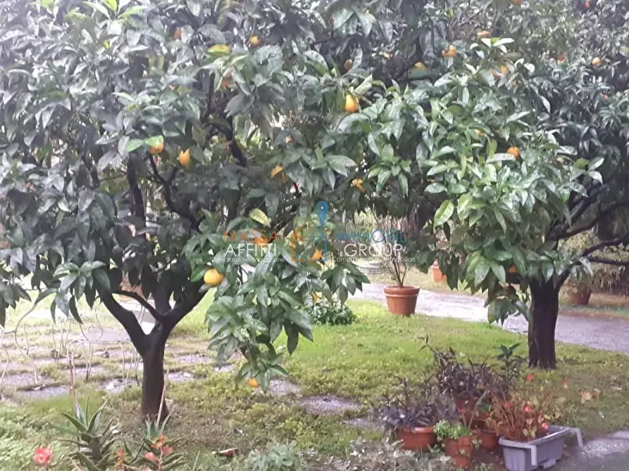 Immagine 9 di Appartamento in vendita  in Viale XX Settembre 98 a Carrara