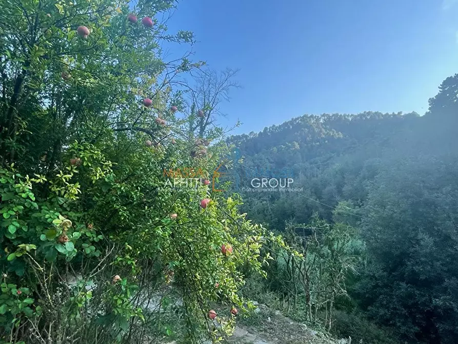 Immagine 61 di Casa indipendente in vendita  in Via San Vitale 7 a Massa