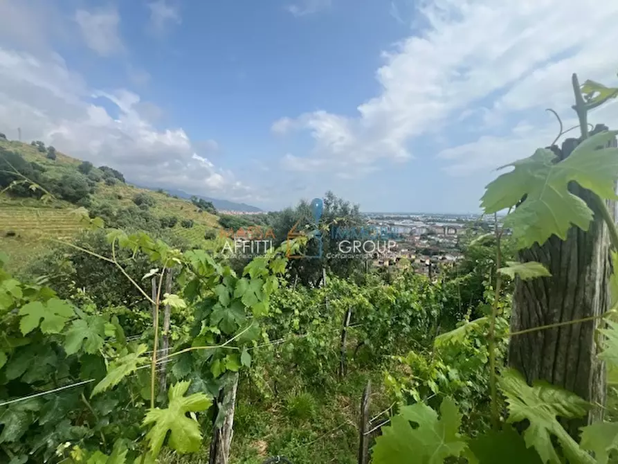 Immagine 7 di Terreno agricolo in vendita  in Via del Pozzo 2 a Massa