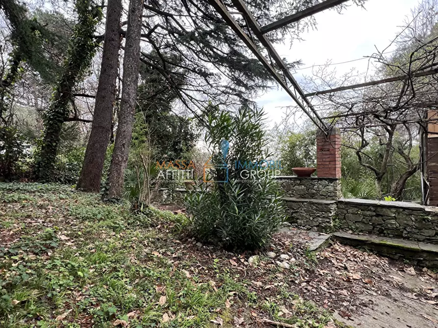 Immagine 38 di Villa in vendita  in Via Tecchioni 5 a Massa