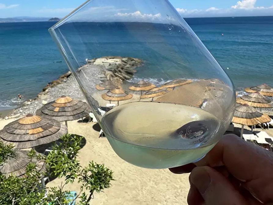 Immagine 1 di Trilocale in vendita  in Via Giunchetto 60 a Laigueglia