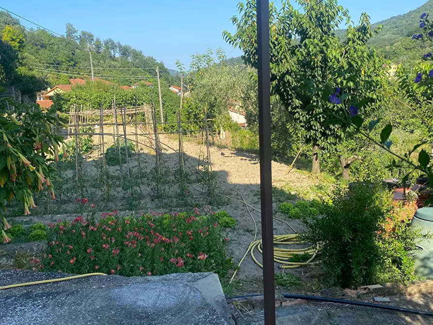 Immagine 14 di Trilocale in vendita  a Stellanello