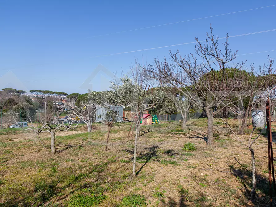 Immagine 8 di Terreno agricolo in vendita  in Via delle Sorgenti a Livorno