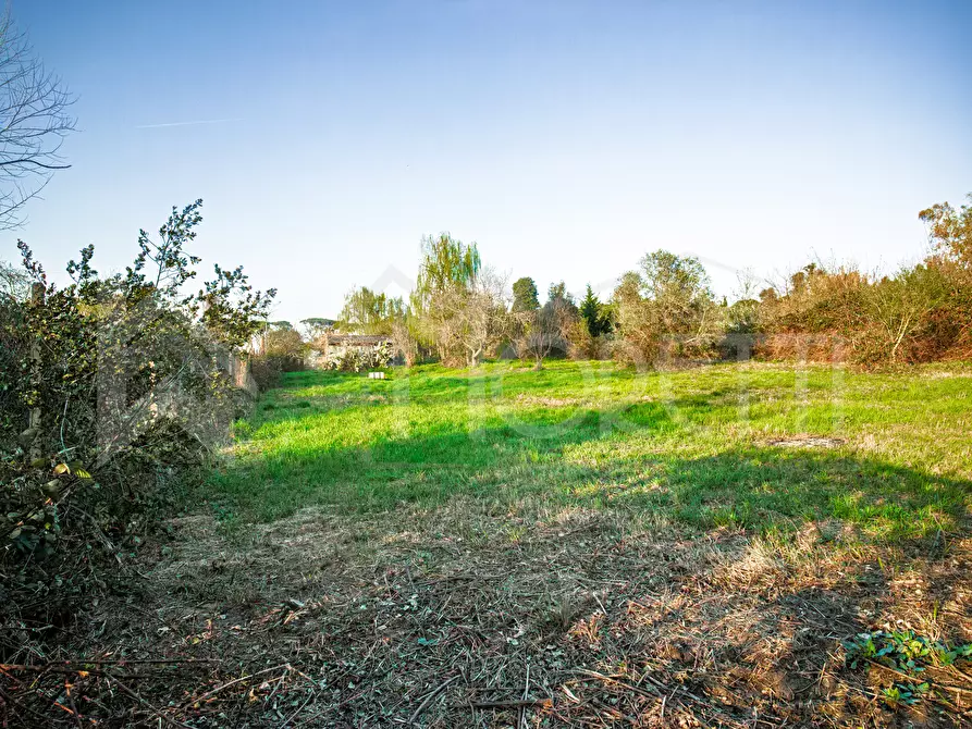 Immagine 41 di Magazzino in vendita  in Via delle Sorgenti a Livorno