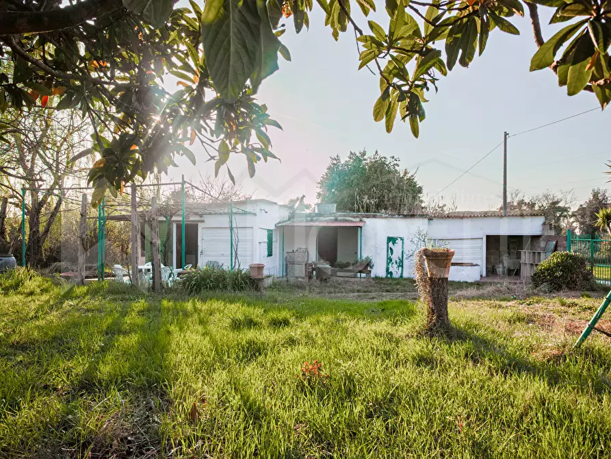 Immagine 1 di Terreno agricolo in vendita  in Via delle Sorgenti a Livorno