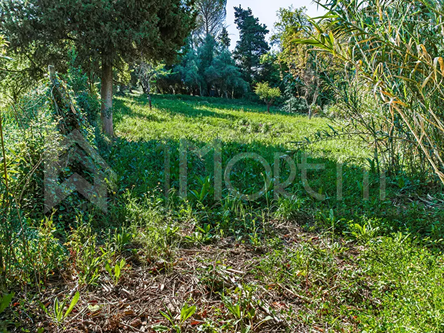 Immagine 105 di Villa in vendita  in Via Parrana San Martino a Collesalvetti