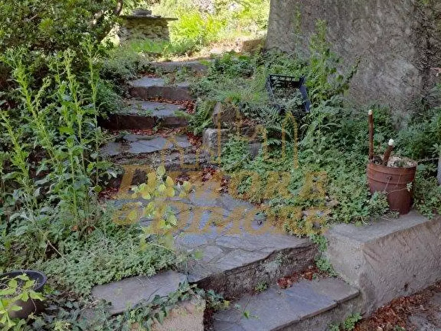 Immagine 61 di Rustico / casale in vendita  a Cannobio