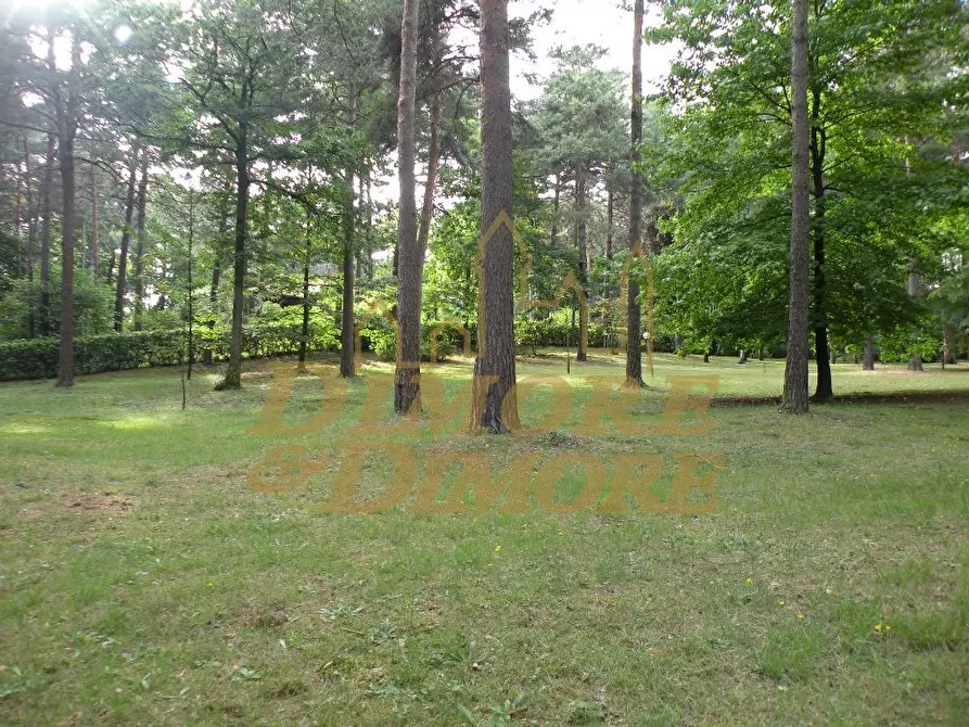 Immagine 2 di Terreno edificabile in vendita  in Via dei Pini a Casale Litta