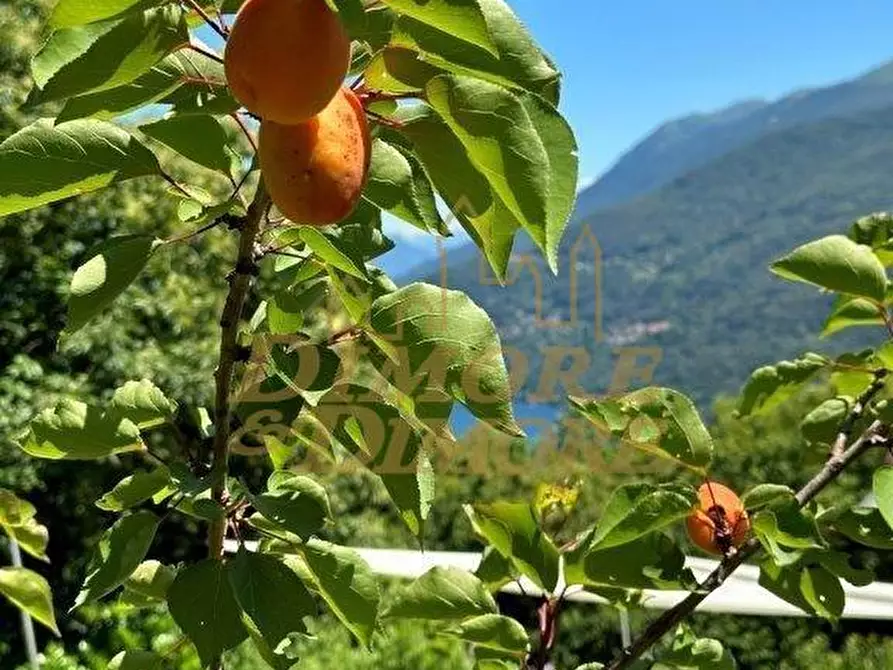 Immagine 54 di Villa in vendita  a Cannobio