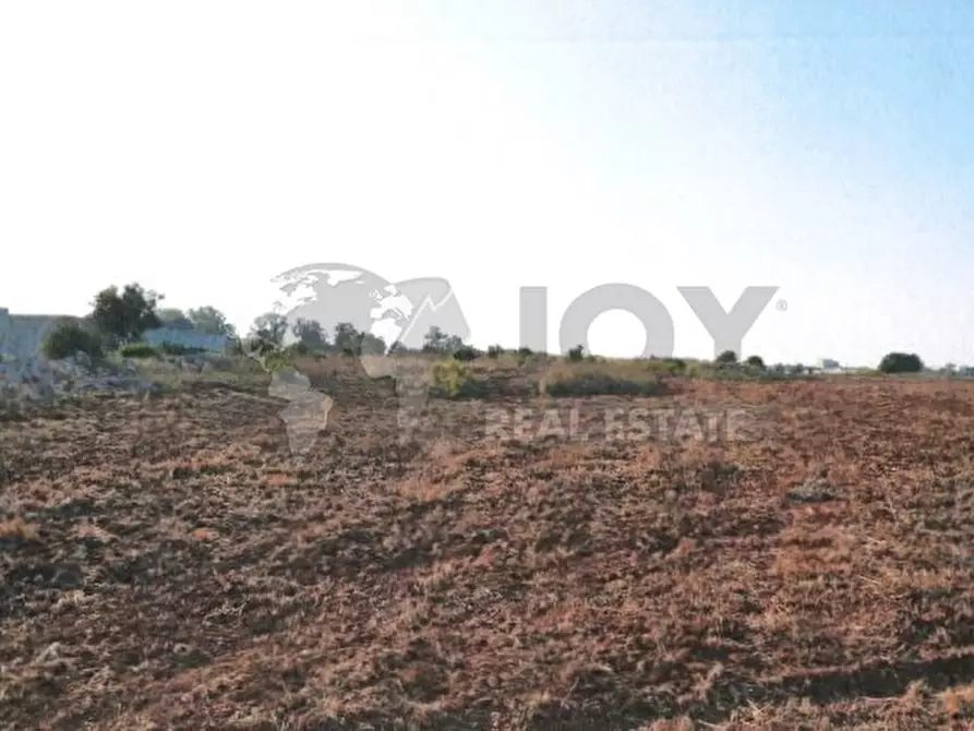 Immagine 4 di Terreno agricolo in vendita  in Via del Codibugnolo a Lecce