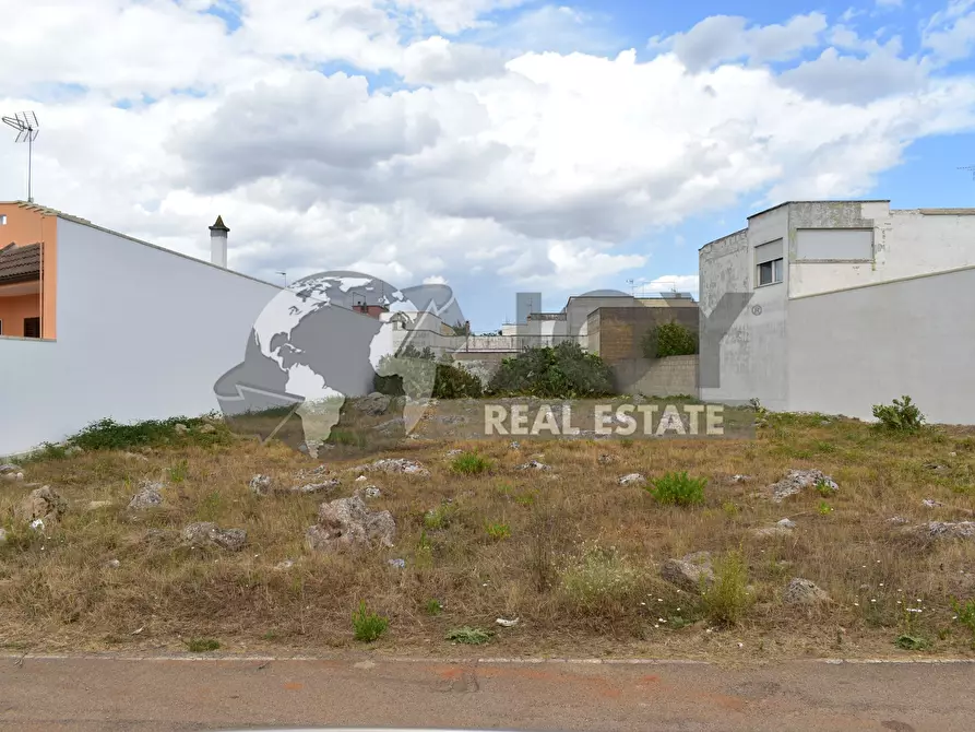 Immagine 4 di Terreno agricolo in vendita  in via morandi a San Donato Di Lecce