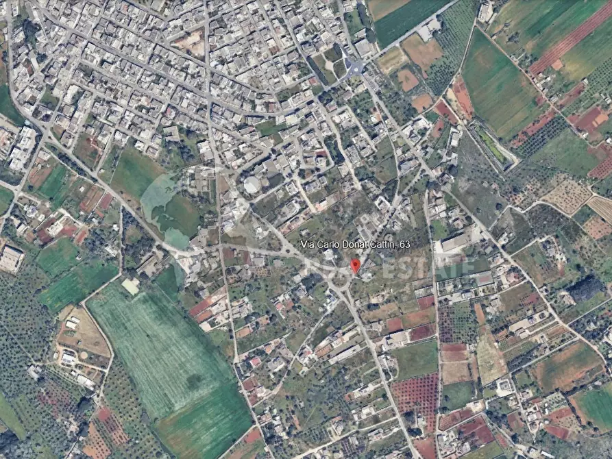 Immagine 42 di Villa in vendita  in Via Carlo Donat Cattin 63 a Specchia