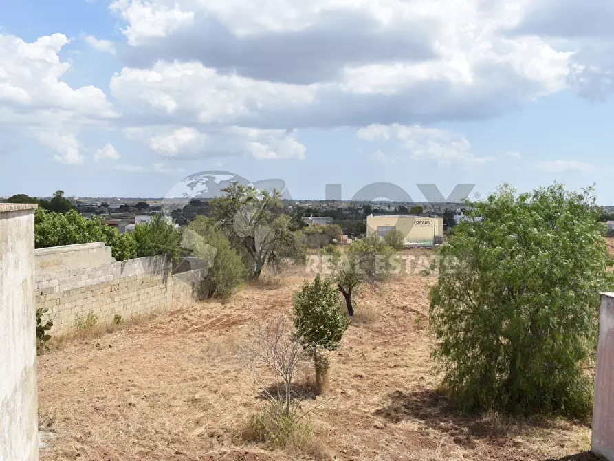 Immagine 8 di Terreno agricolo in vendita  in Via Carlo Donat Cattin 61 a Specchia