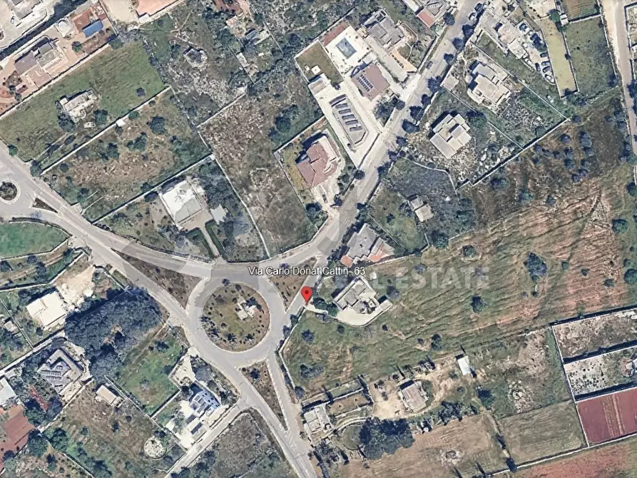 Immagine 3 di Terreno agricolo in vendita  in Via Carlo Donat Cattin 61 a Specchia