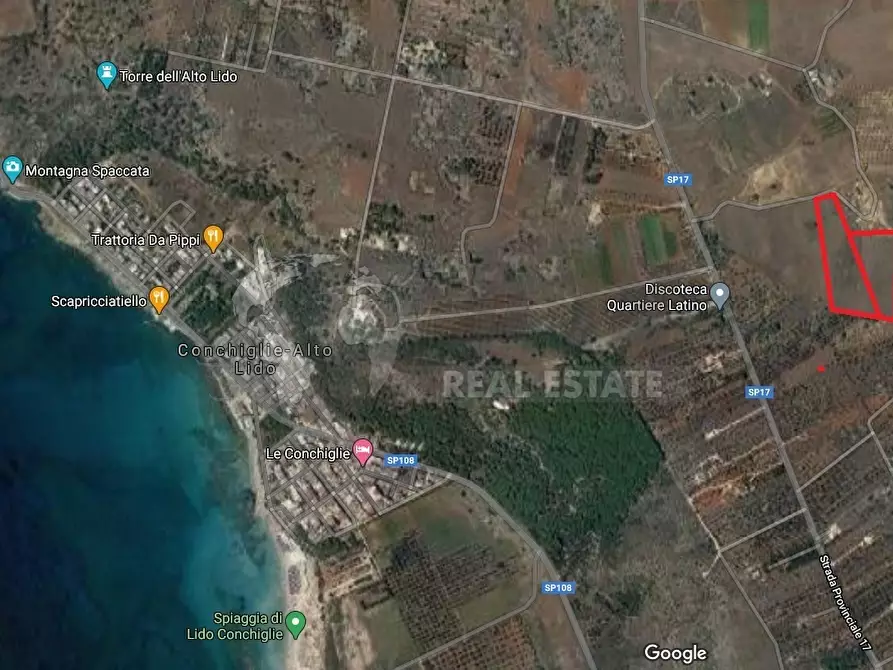 Immagine 2 di Terreno industriale in vendita  in Strada Provinciale 17 63 a Sannicola