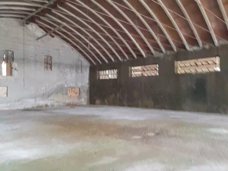 Immagine 24 di Attività artigianale in vendita  in C.DA PIANA LA BARCA a Paglieta