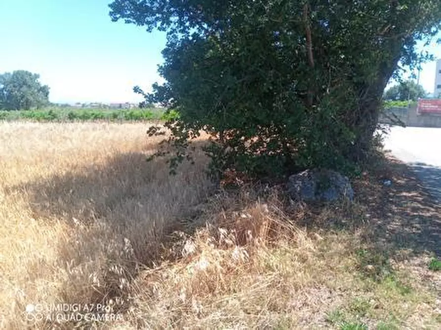 Immagine 5 di Terreno industriale in vendita  in VIA CUNA RE DI COPPE a Lanciano