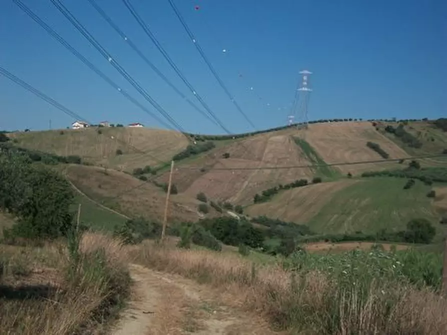 Immagine 13 di Terreno agricolo in vendita  in C.DA RIZZACORNO a Lanciano