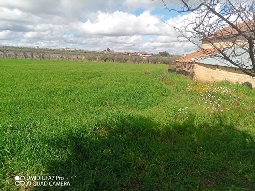 Immagine 14 di Terreno agricolo in vendita  a Fossacesia